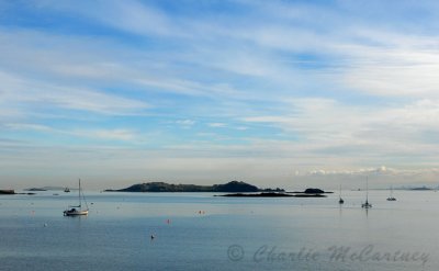 Inchcolm Island, Firth of Forth - DSC_4283.jpg