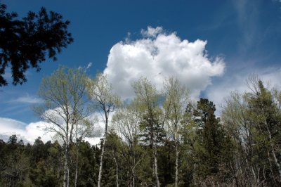 Clouds Rolling in