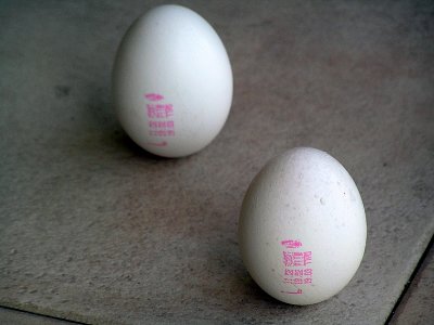 P3210002 equinox standing eggs.JPG