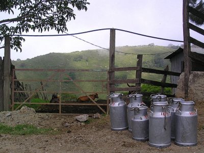 Milk cans waiting for pickup.JPG