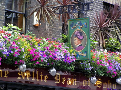 Lon pub flowers.JPG