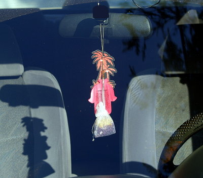 hanging things inside the car.JPG