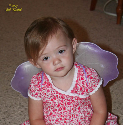 June 3, 2007  -  A little butterfly