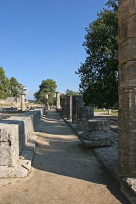 Olympia 31
