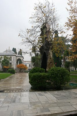 Topkapi Palace 14