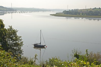 River Tamar 1