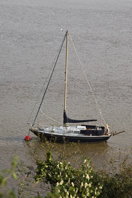 River Tamar 3