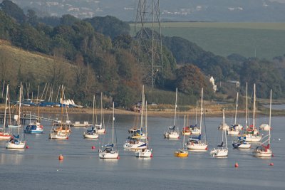 River Tamar 4