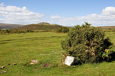 Dartmoor 3