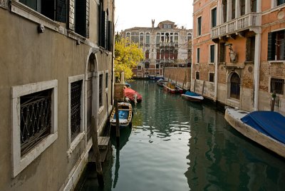 Venice 50