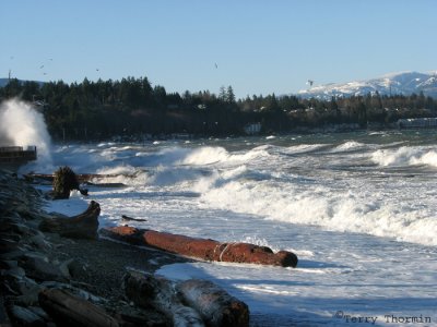 Qualicum Beach in the wind 3.jpg