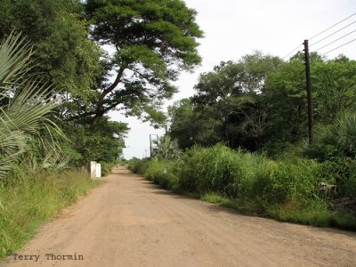 Road in front of Waterfront Lodge, Livingstone.JPG