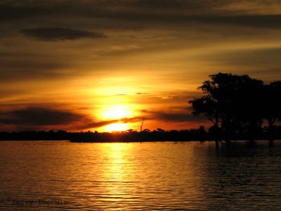 Chobe River sunset 10 - Chobe N.P.JPG