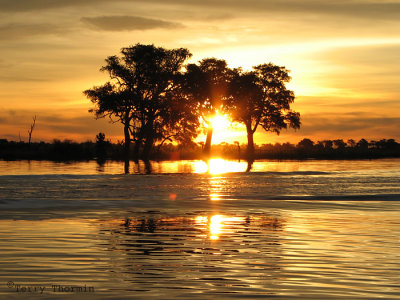 Chobe River sunset 3 - Chobe N.P.JPG