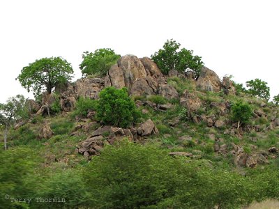 Rock outcrop along road to Twyfelfontein 1a.jpg