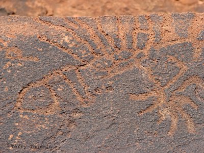 Scorpion rock carving 1 - Twyfelfontein.JPG