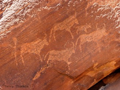 Wildebeast rock carving 1 - Twyfelfontein.JPG