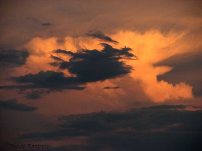 Evening Clouds 3 - Okavango Delta.JPG