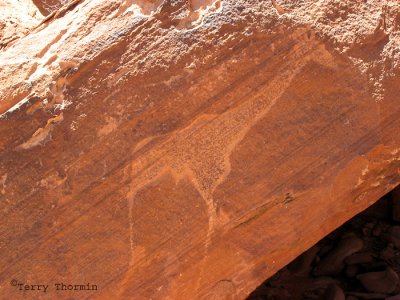 Giraffe rock carving 1 - Twyfelfontein.JPG