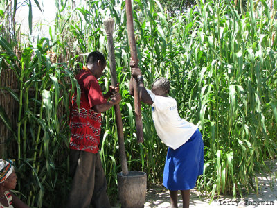 Grinding maize 2 - Mayana Village.JPG