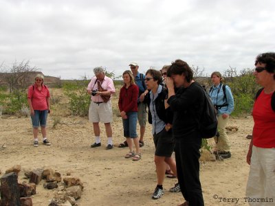 The Group 3 - Petrified Forest.JPG