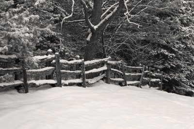 Fence In Snow.jpg