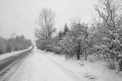 Winter Road.jpg