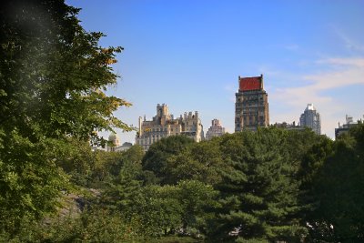 View from Central Park.jpg