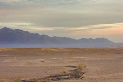 Central Desert