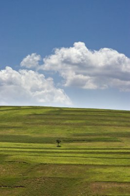 Alamut Region