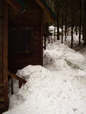 My shoveling assignment.