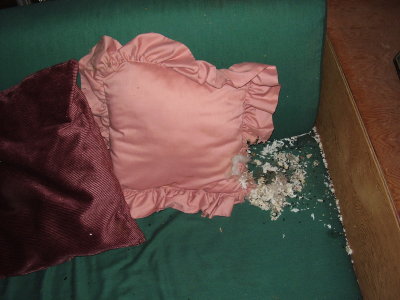 Luckily the mice destroyed this atrocious pillow.