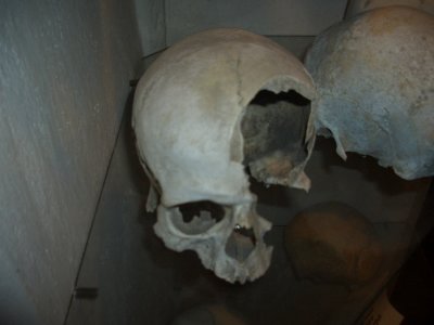 CIMG3492.JPG
