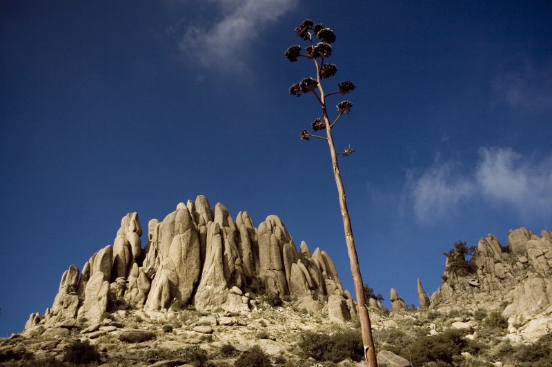 Hoodoo Hill