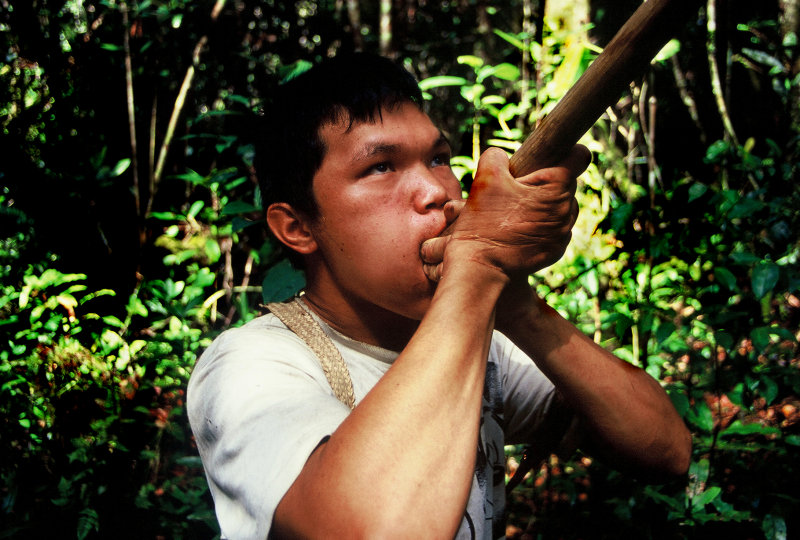 Watch out Monkeys