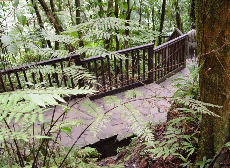 Les Chutes du Carbet, Guadeloupe