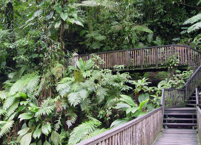 Les Chutes du Carbet, Guadeloupe