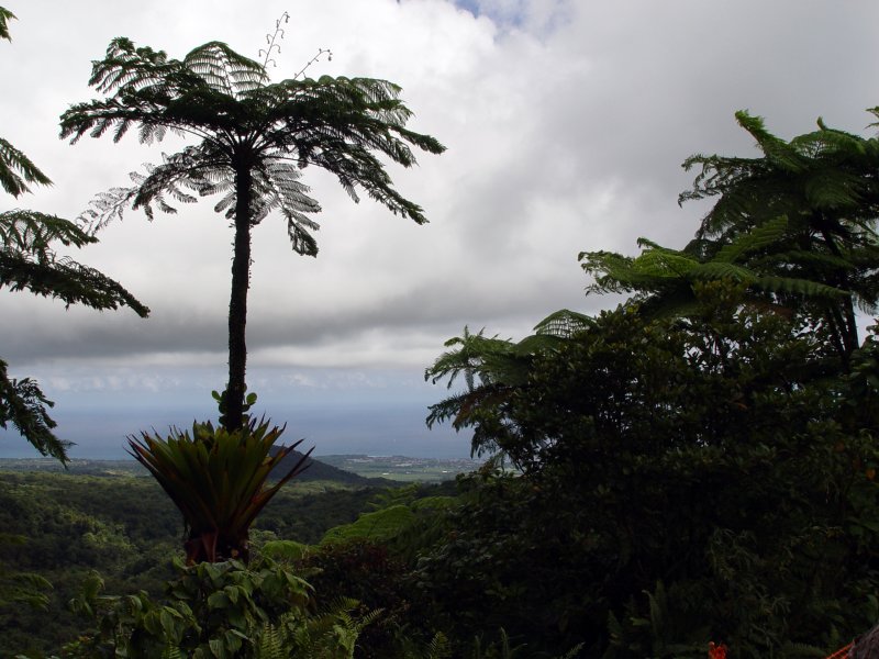 Les Chutes du Carbet, Guadeloupe