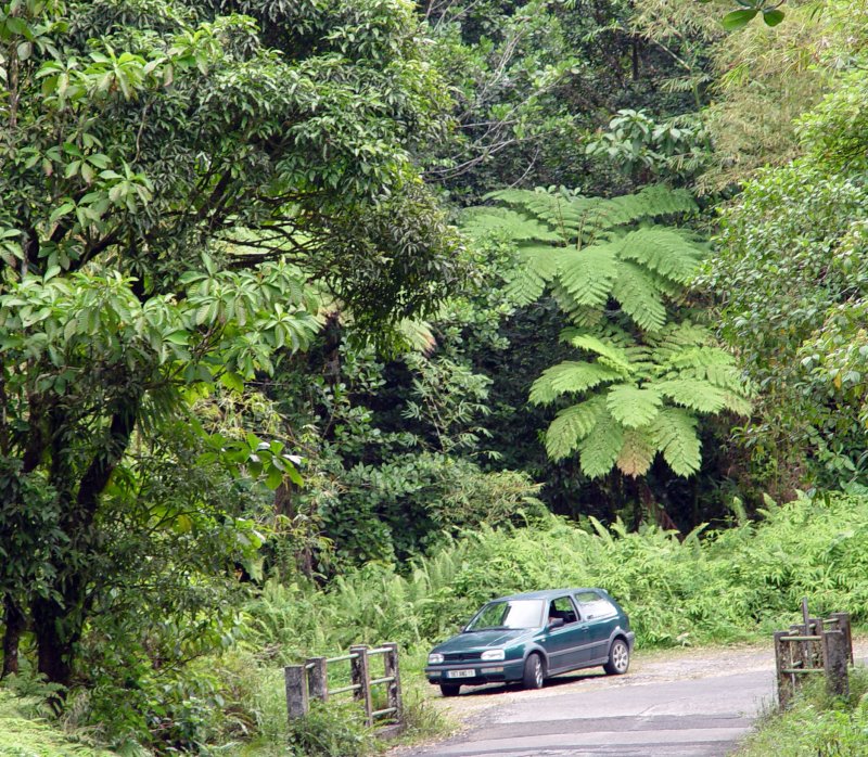 Les Chutes du Carbet, Guadeloupe