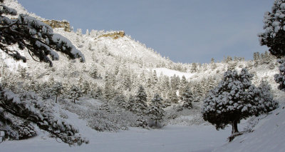 Colorado mix