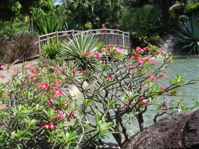 Jardin botanique, Deshaies - Guadeloupe