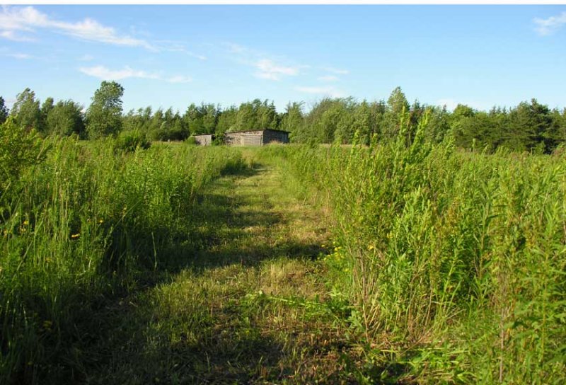 path to barn