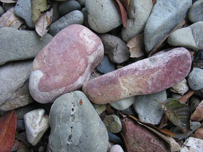 W. River - rocks