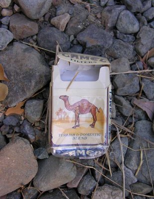Camel Filters - litter near Shasta Creek, Calif.