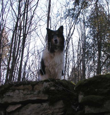 Sabrina at the lime kiln