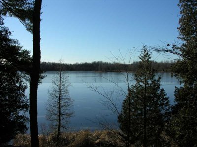 Mill Pond just beginning to freeze - view 1