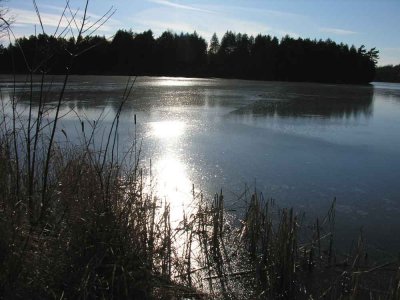 Mill Pond just beginning to freeze - view 2