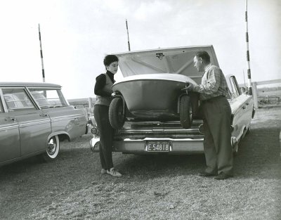 Penguin being loaded into trunk of sedan