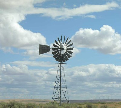 Aermotor windmill