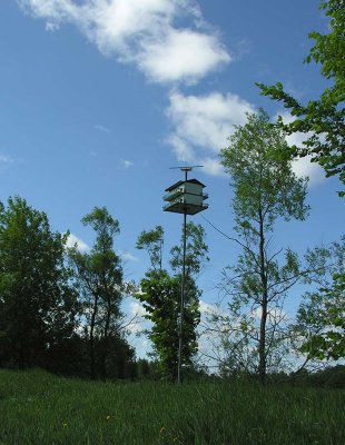 Birdhouse near lagoon